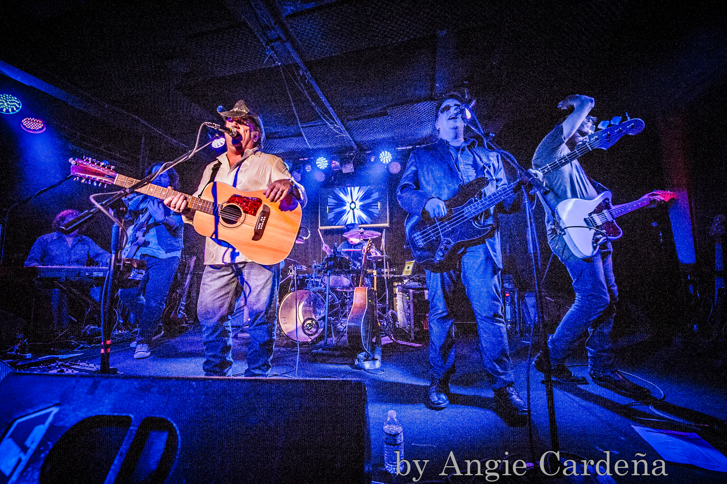 Petty Theft San Francisco Tribute to Tom Petty and The Heartbreakers